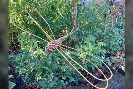Dragonfly Willow Weaving adults