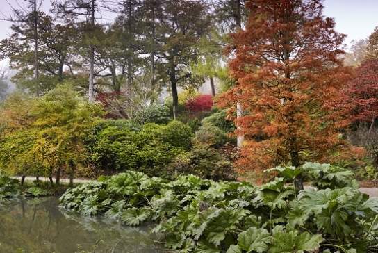 Leonardslee Lakes and Gardens