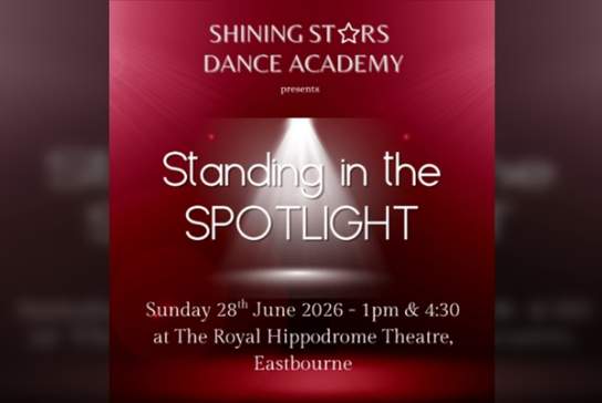 Shining Stars Dance Academy: Standing in The Spotlight