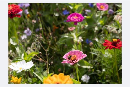 Flora & Fauna Tour