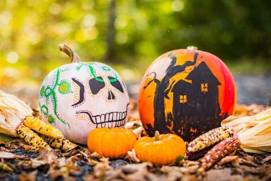 Ghost Walk Pevensey HALLOWEEN LATE