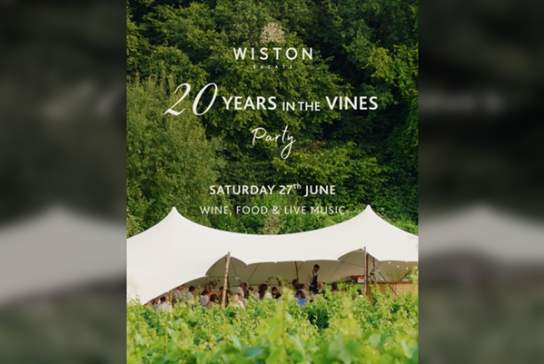 Summer Celebration in the Vines