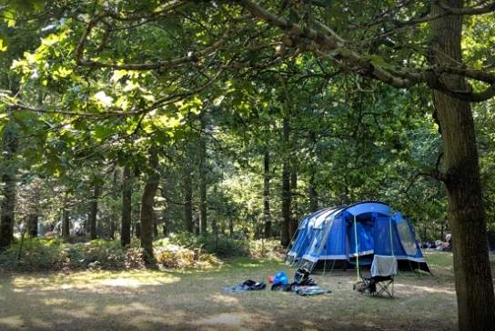 Fox Wood Camping