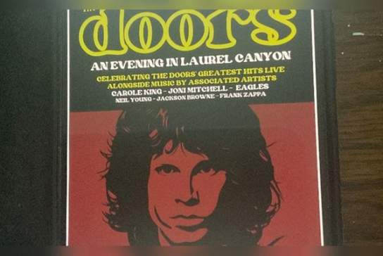 Lewes Music Group Celebrate Music by the Doors and Associated Artists