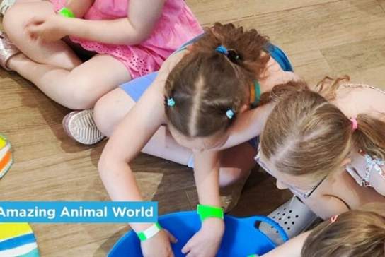 Our Amazing Animal World