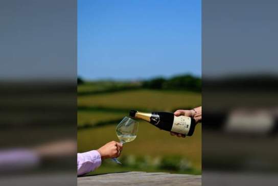 IWD Female Founders Long Lunch