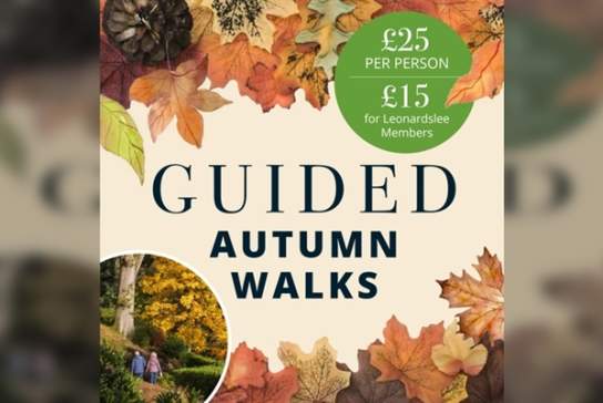Autumn Guided Walks