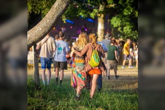 Good Vibrations Society