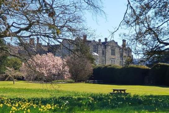 Sussex Day