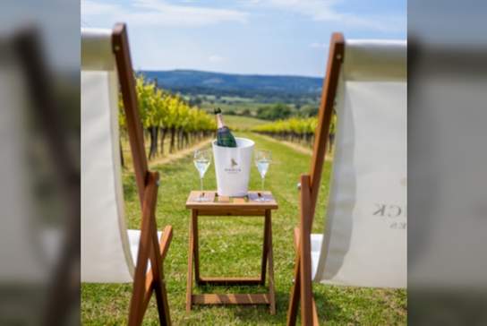 Music in the Vines with Roebuck Estates
