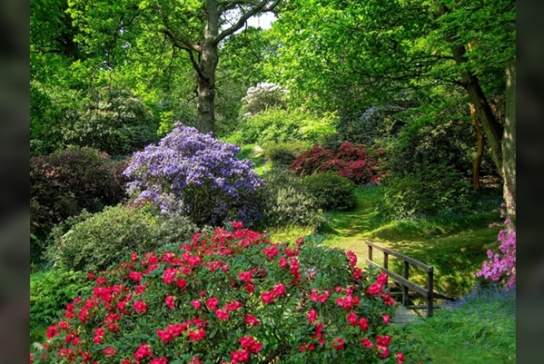 Exclusive Evening at High Beeches Woodland and Water Garden
