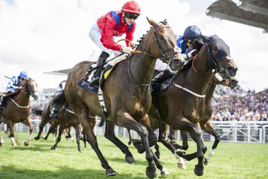 Race Meeting