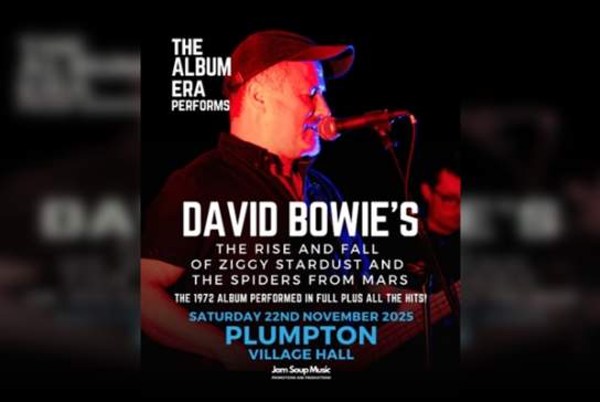 David Bowies The Rise and Fall of Ziggy Stardust and the Spiders From Mars