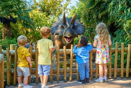 Zooper Summer Holidays at Drusillas!