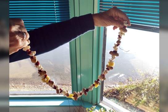 Feed the Birds Workshop