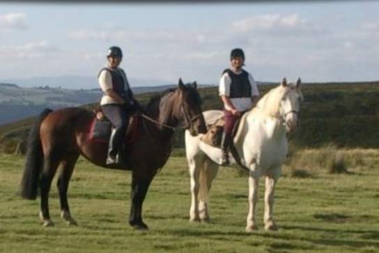 Three Greys Riding School