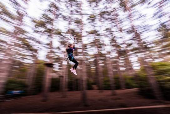 October Half Term at Go Ape Crawley