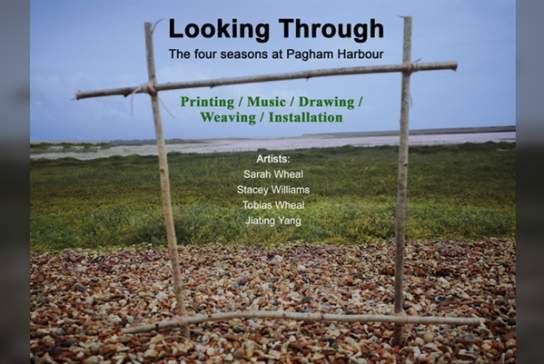 Looking through… the four seasons of Pagham Harbour