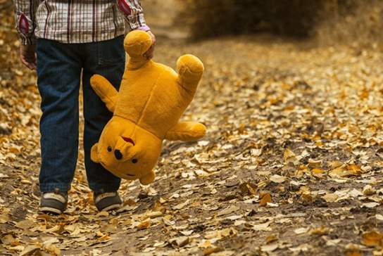 Pooh Trek & Ashdown Forest Tours