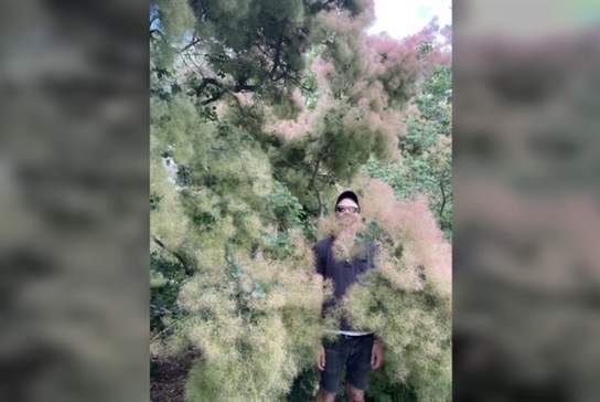 Shit And Shine + Container