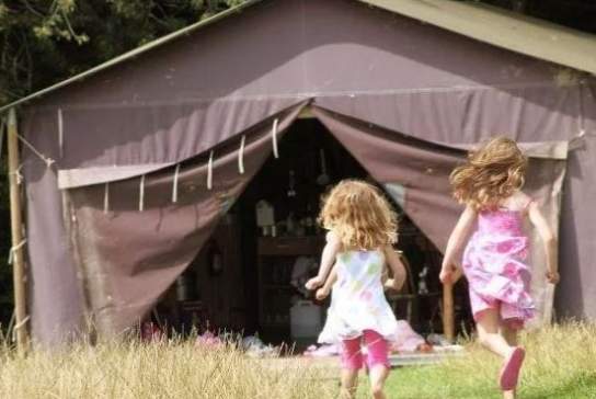 Canfields Farm glamping