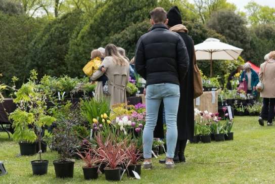 Plant Fair