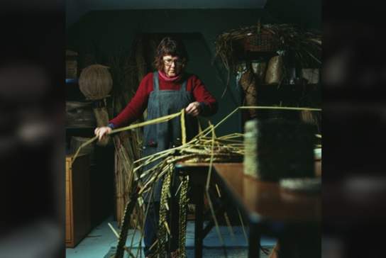 Studio Safari - Ditchling and Countryside