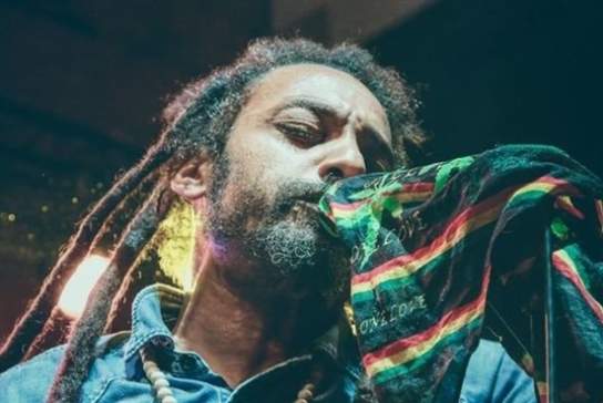 The Marley Experience