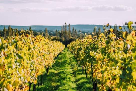 Nyetimber