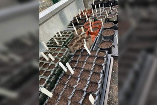 Propagation Workshop