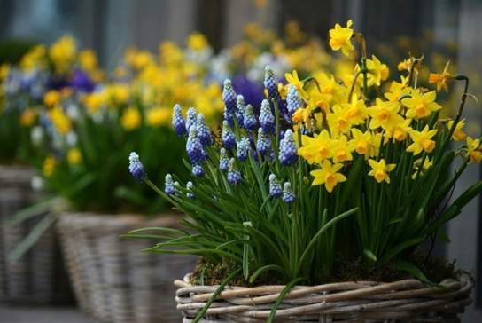 Exhibition: The Sussex Artists - The Art of Spring