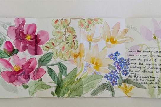 Create a Garden Journal with Shilpa Agashe