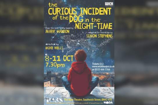 The Curious Incident of the Dog in the Night-Time