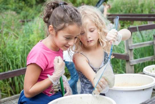 Discovery Day – Pond dipping & Bug hunting.