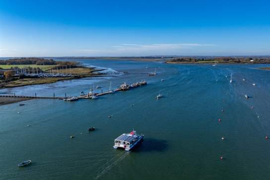 Guided bird-watching boat trip on Solar Heritage