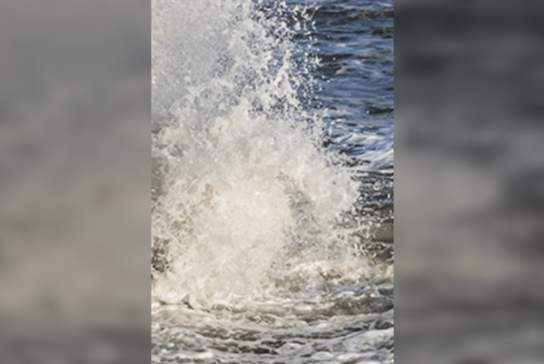 Sounds of The Sea - In Words and Song