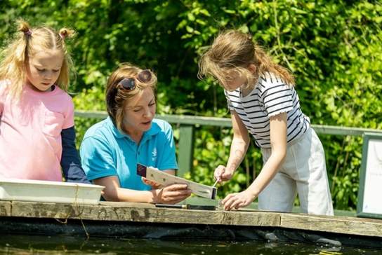 Incredible Insects Learning Session 4-7 yrs