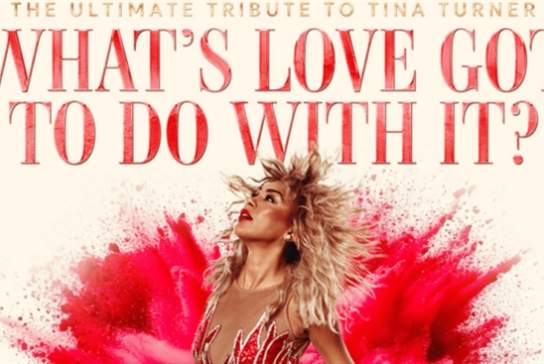 What's Love Got To Do With It?