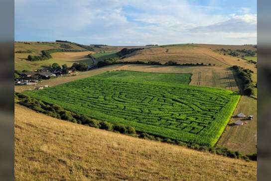 South Farm Maize Maze