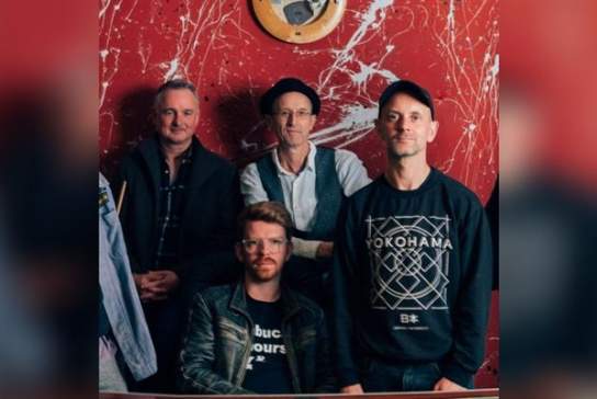 Peatbog Faeries