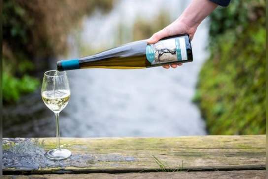 Vineyard & Winery Tour & Tastings