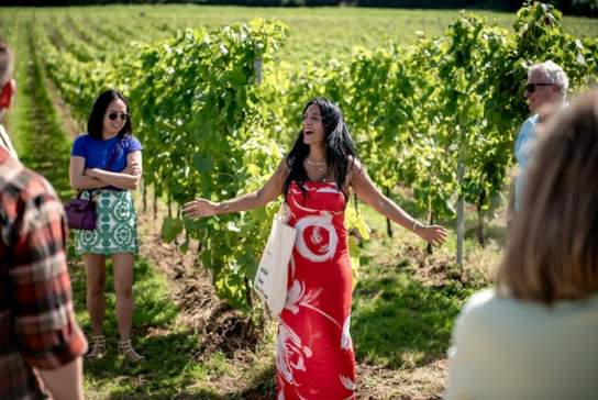 Vineyard Tour and Tasting