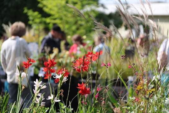 Autumn Plant Fair