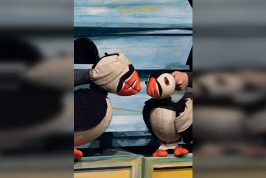 Puffling Percy