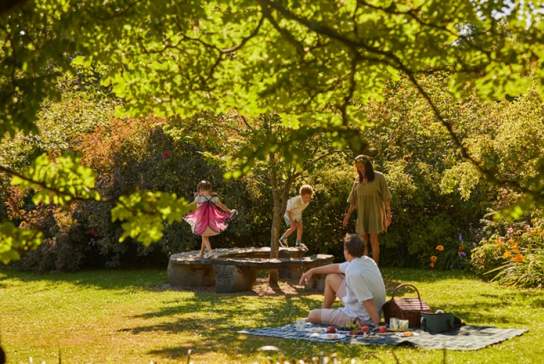 The Woods of Wonder - Summer Trail at Borde Hill