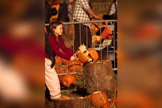 Rogate Pumpkin SMASH!