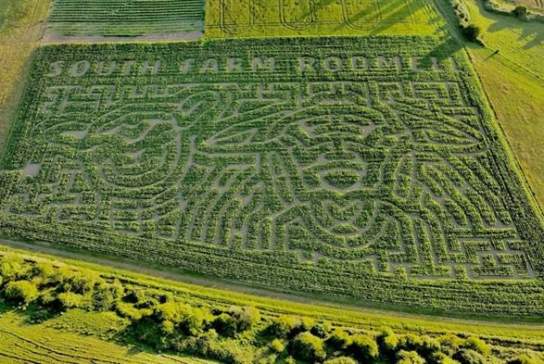 South Farm Maize Maze