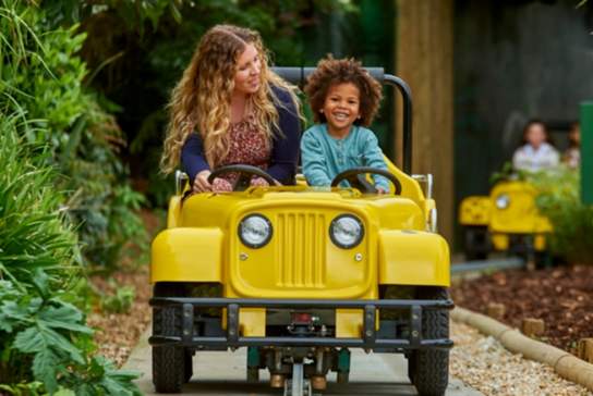 February Half Term at Drusillas