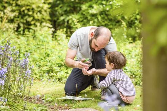 Discovery Day – Secretive spiders