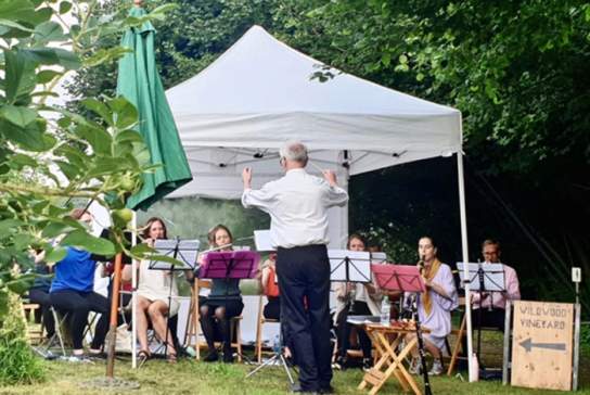 Concert in the Vineyard